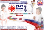 Международные соревнования  по Киокусинкай  «Открытое Первенство Сэйкен»