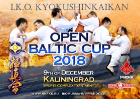 Международный турнир среди мужчин в абсолютной категории «Open Baltic Cup»