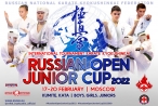 Международные соревнования "Russian Open Junior Cup - 2022"