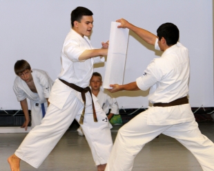 Каратэ киокушинкай в лучшем лицее Подмосковья