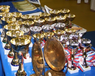 Открытое Первенство и Чемпионат Ростова-на-Дону