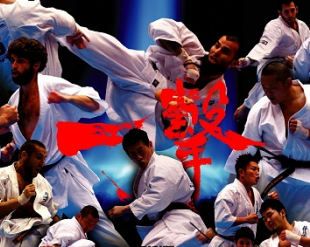 Официальные пули V Чемпионата мира