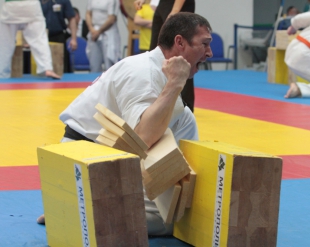 Кубок России по тамэшивари