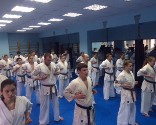 700 питерских каратистов прошли подготовку к экзамену