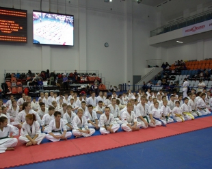 Результаты Открытого Первенства «СЭЙКЕН» по киокусинкай
