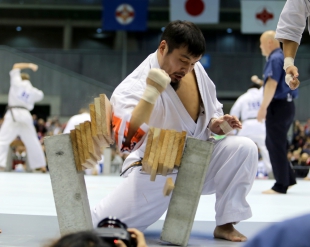 Итоги тамэшивари 11-го абсолютного Чемпионата мира