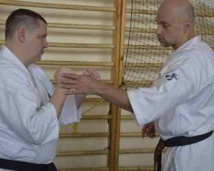 Вторая Южно-Российская конференция черных поясов в Ростове-на-Дону