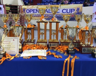 Результаты «Open Baltic Cup 2018»