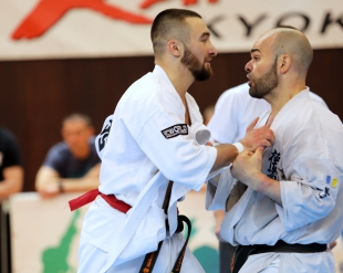 Скорректированы правила к абсолютному Чемпионату мира