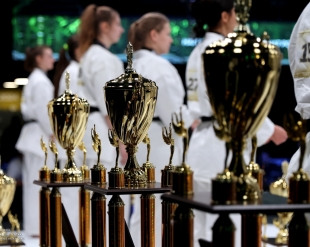 Результаты Чемпионата России в абсолютной категории и тамэшивари