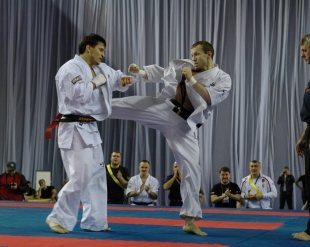 Финалы Чемпионата России 2012
