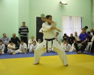 Открытые Первенство и Чемпионат Ростова-на-Дону