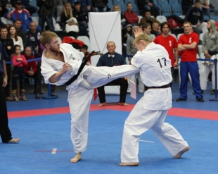 Чемпионат России 2013