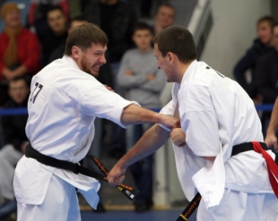 Чемпионат России 2013