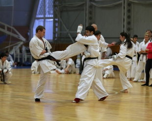 Зимние сборы РНФКК 2015 (экзамен)