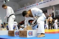 Тамэшивари Чемпионата России 2016