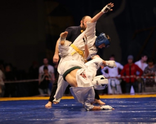 Первенство и Чемпионат ЮФО по киокусинкай 2016