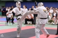 Belarus Open Cup 2026