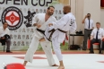 Asia Open Cup 2026