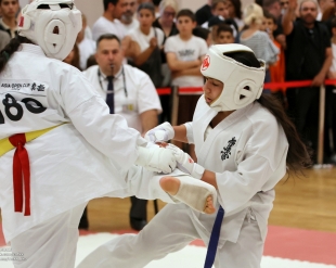 Asia Open Cup 2026